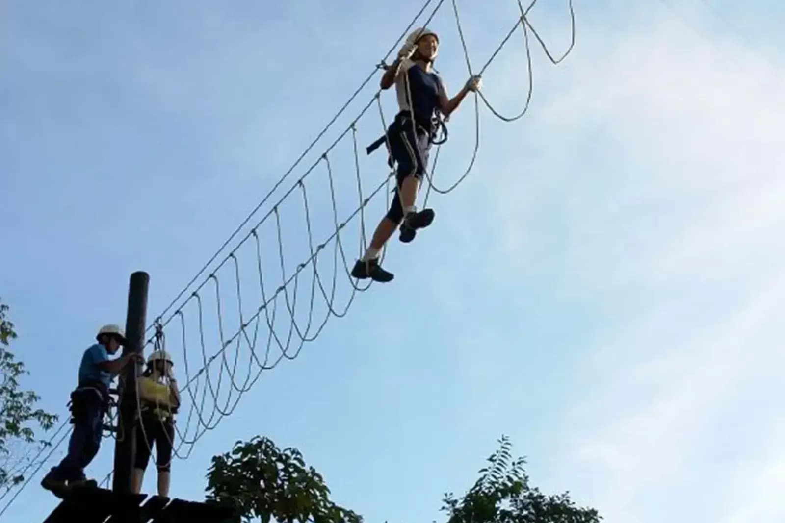Ponte de arvorismo entre as árvores no Parque dos Sonhos