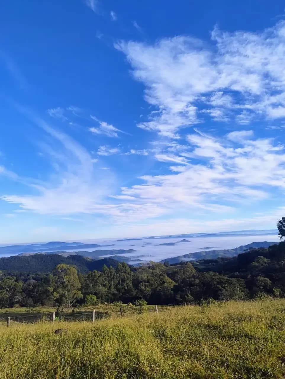 Passeio de Trator do Lajeado na Rede dos Sonhos