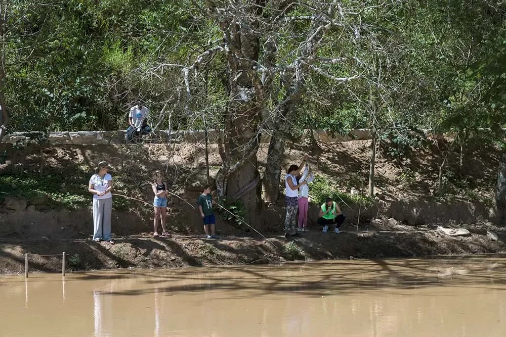 Pesca Contemplativa na Rede dos Sonhos