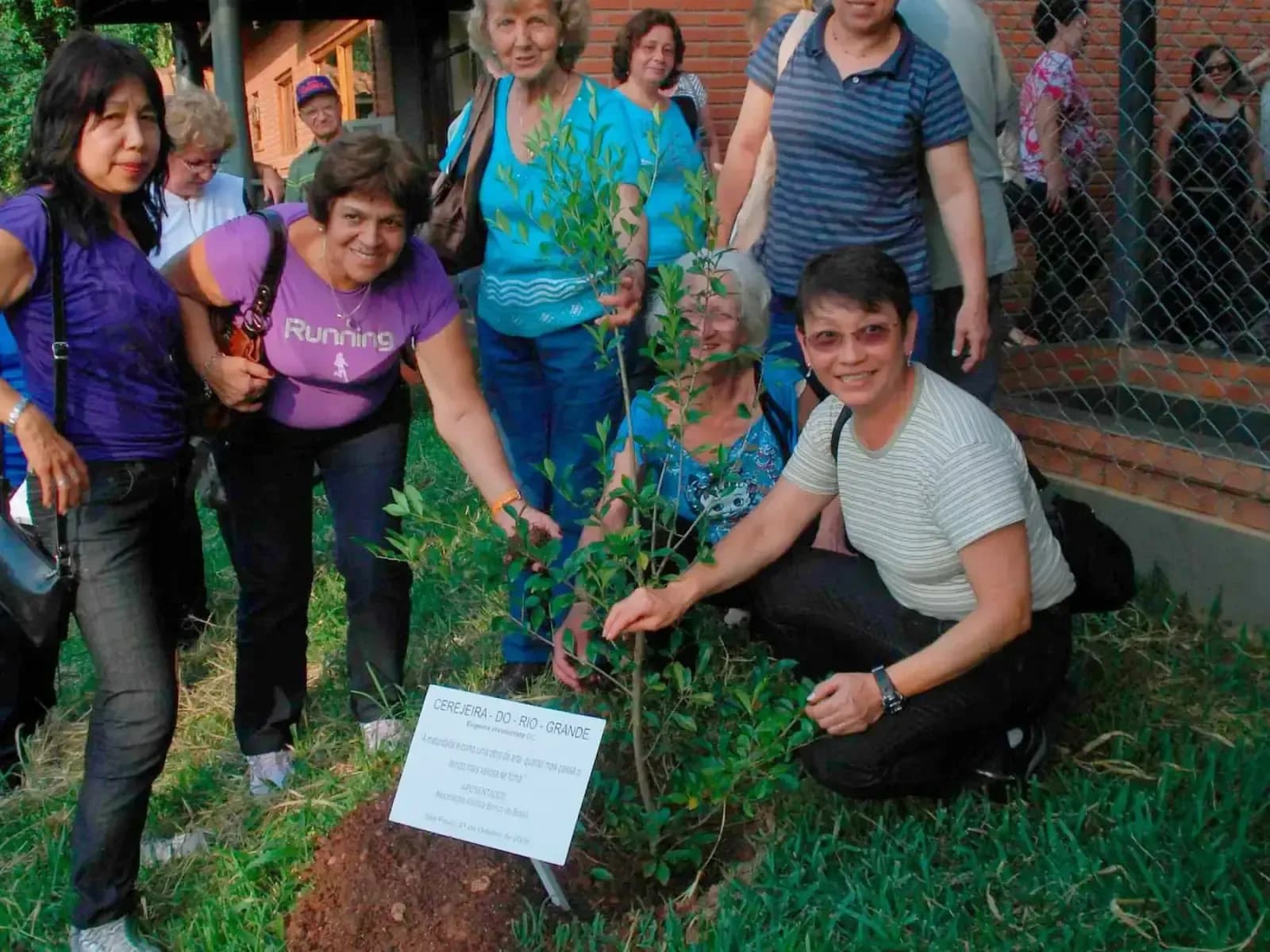 Plantio de muda no programa Plante ou Adote uma Árvore
