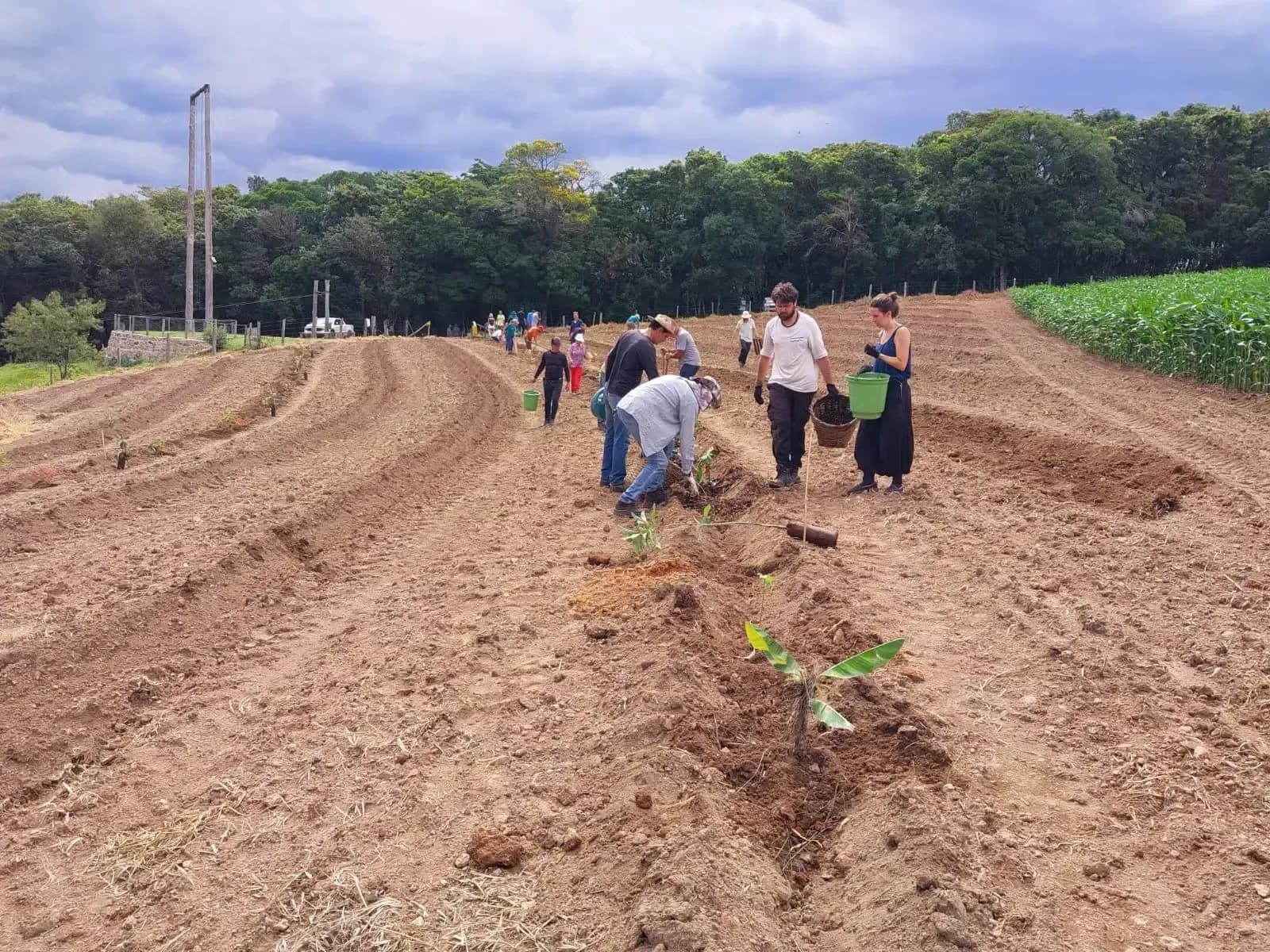Plantio de área de agrofloresta produtiva no Colina dos Sonhos