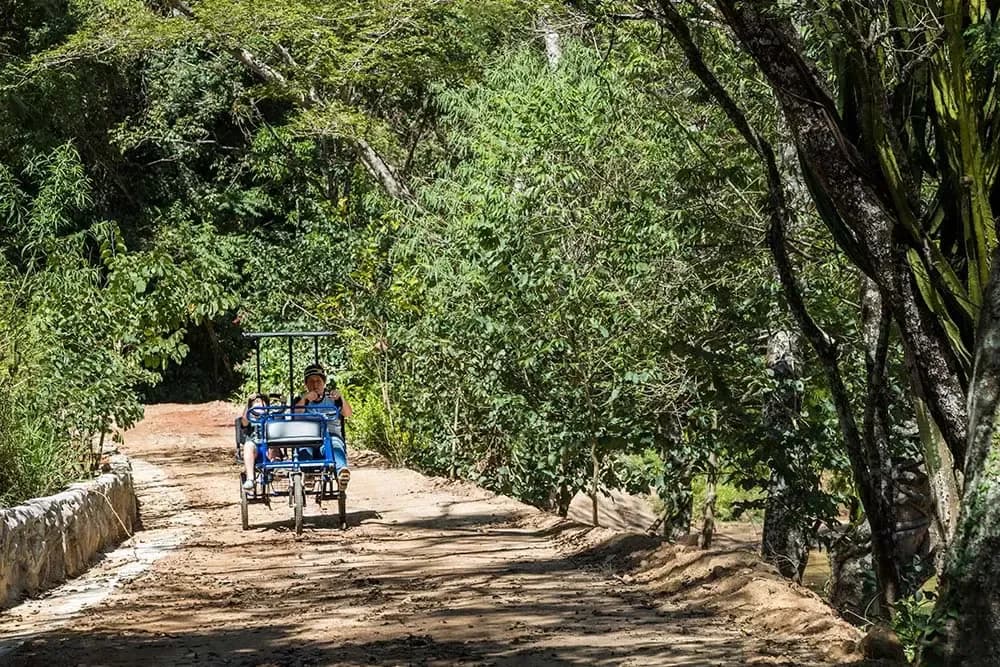 Triciclo e quadriciclo (não motorizados) na Rede dos Sonhos