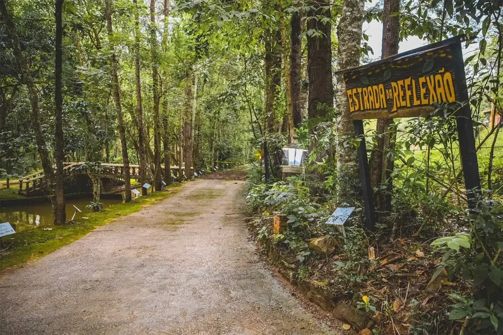 Trilha ecológica pela mata