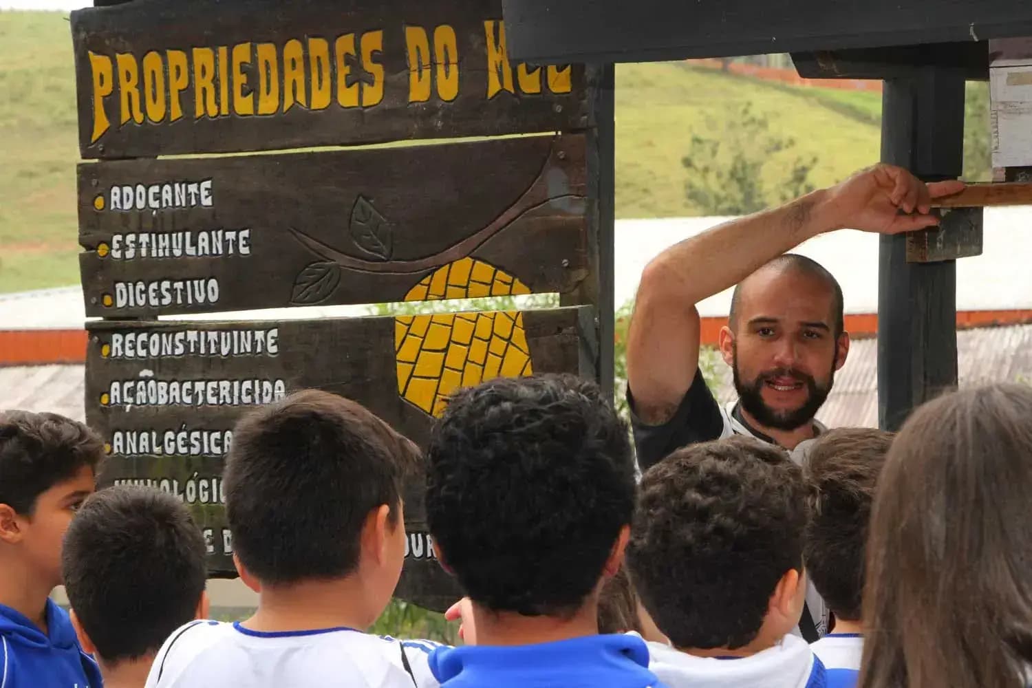 Apiário usado nas visitas pedagógicas