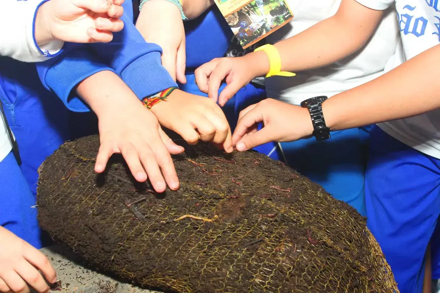 Minhocário do programa de educação ambiental